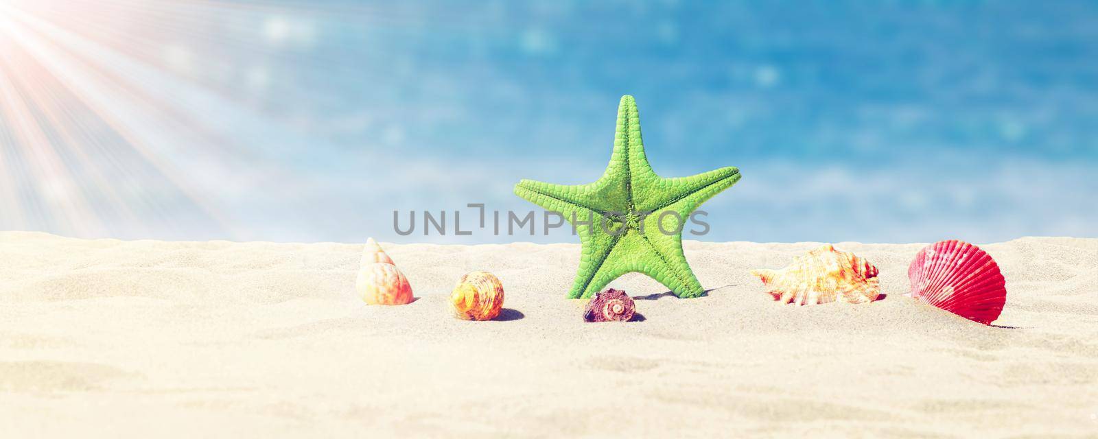 Starfish and seashells on the sunny beach. Summer holiday background by Taut