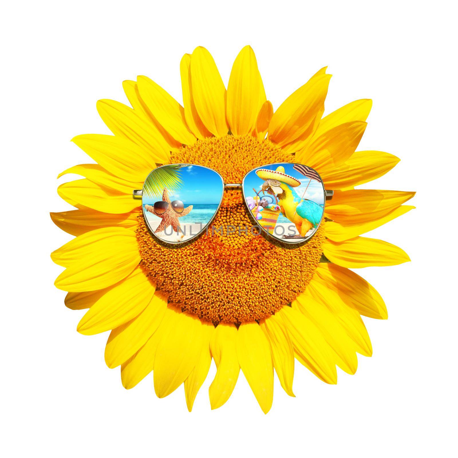 Isolated sunflower with sunglasses and happy face