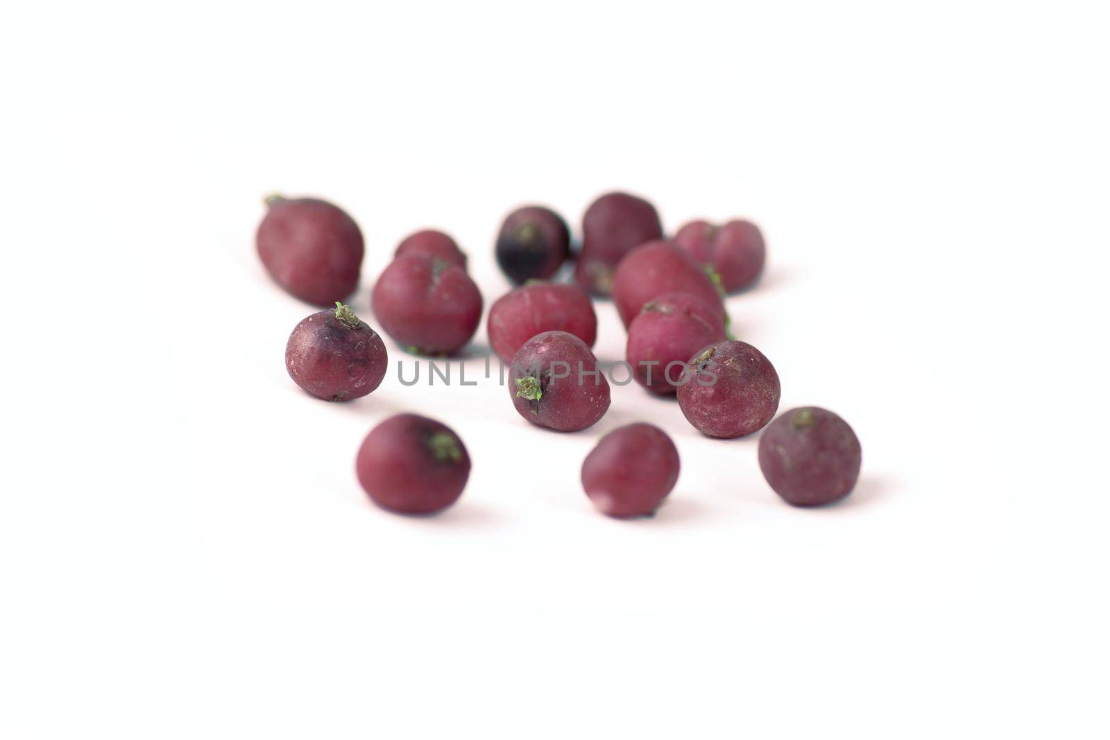 fresh red radishes .isolated on a white background.photo with copy space
