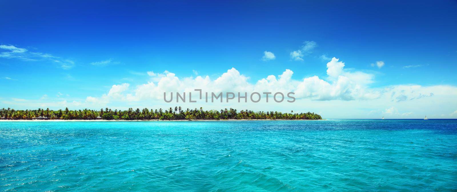 Tropical island with palms and beach panorama as background by Taut