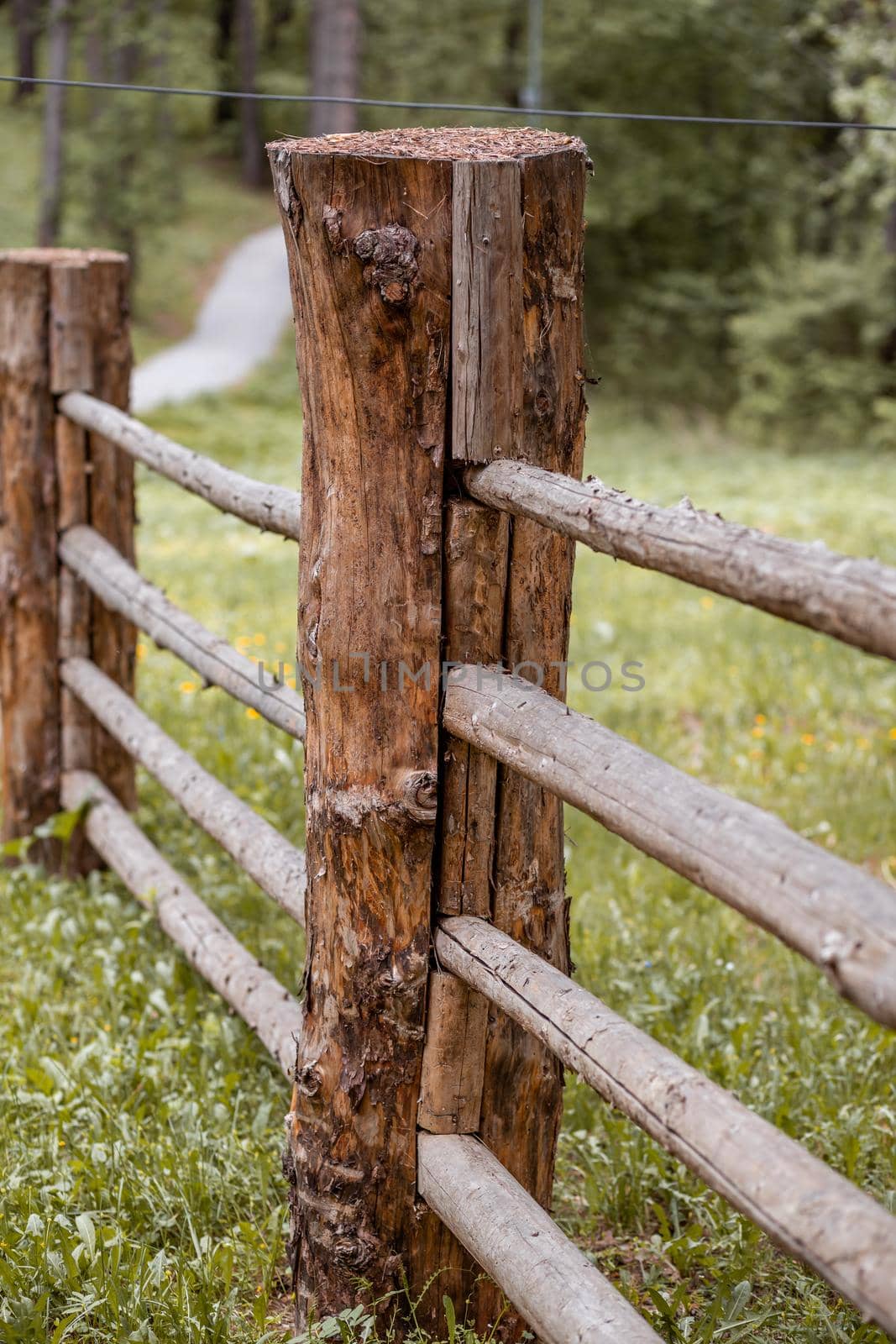 Large wooden fence posts that enclose an old wooden house in the forest. How people built houses and fences in the past. Ecological construction and materials.