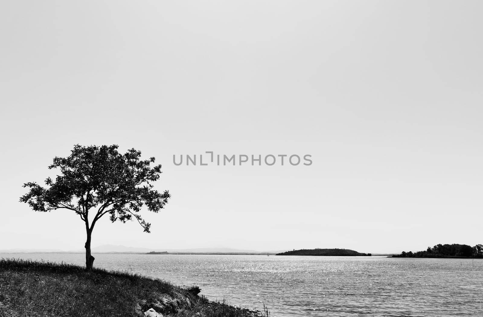 Black and white coastline by victimewalker