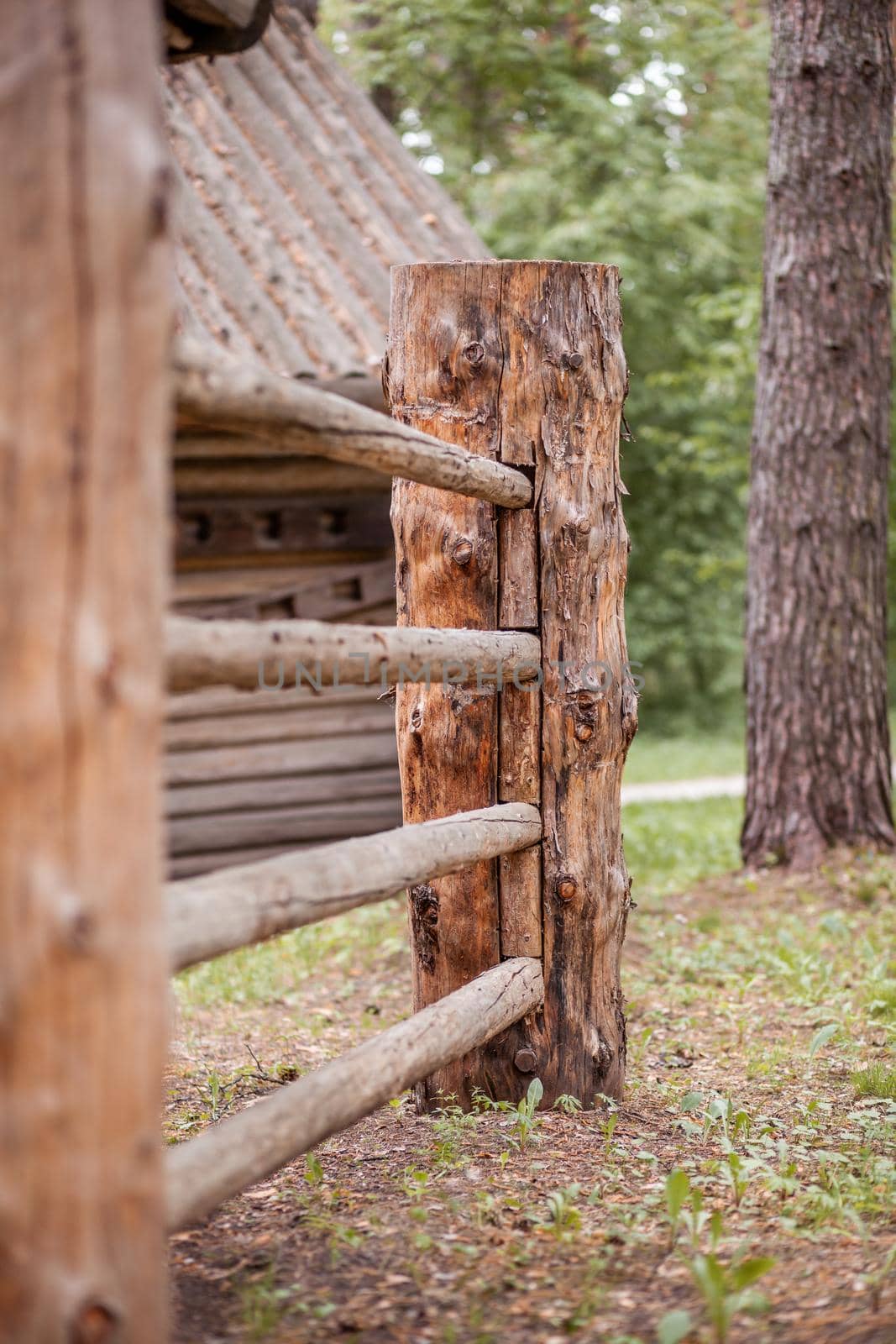 Large wooden fence posts that enclose an old wooden house in the forest. How people built houses and fences in the past. Ecological construction and materials.