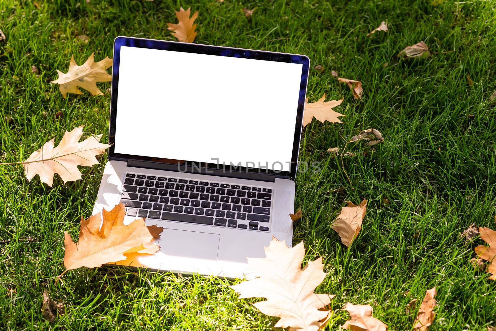 A laptop with an empty screen stands in the courtyard of a beautiful home garden, in Sunny weather. by Andelov13