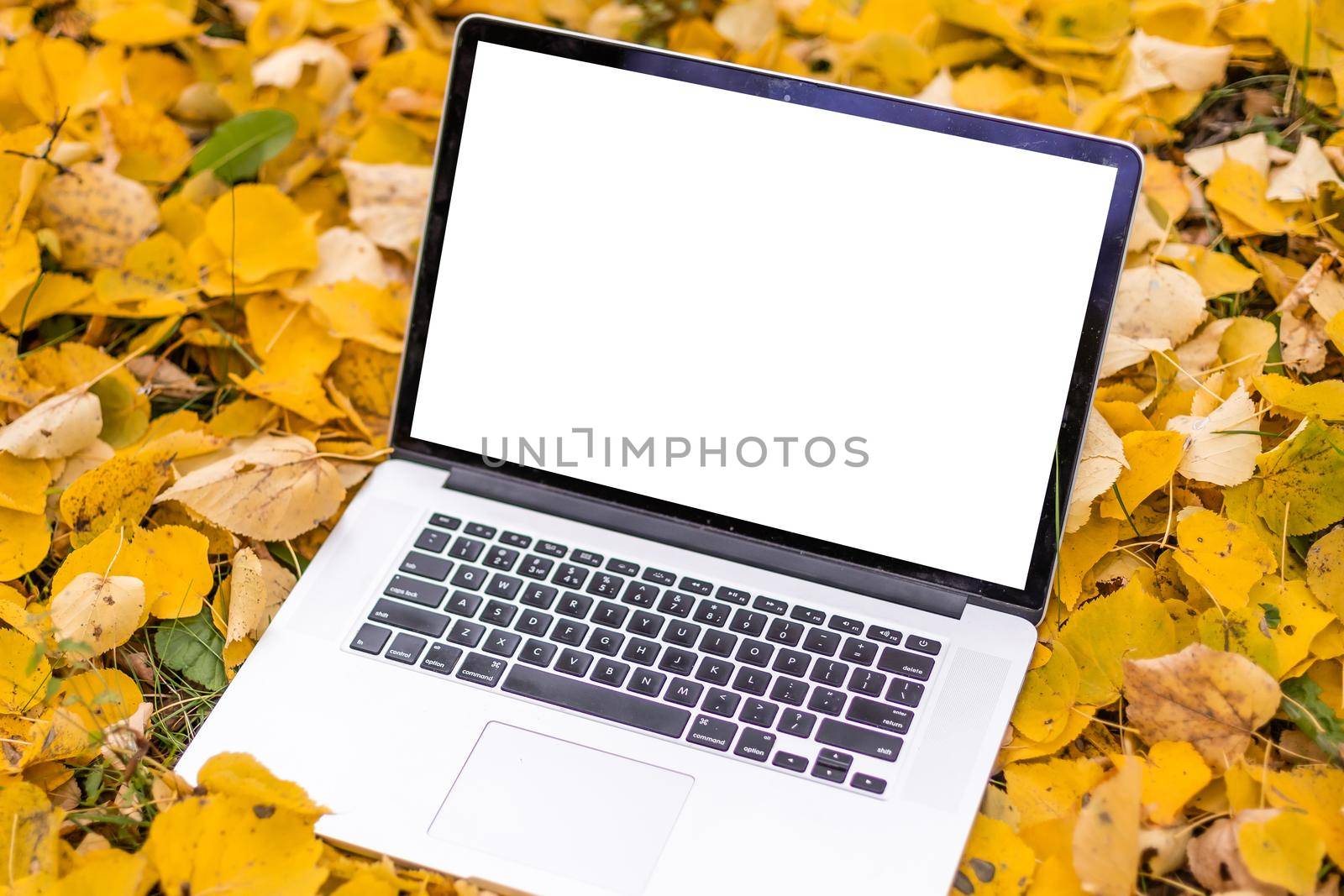 blank screen laptop computer on terrace with beautiful autumn colorful red and yellow maple leaves background, copy space for display presentation, marketing, advertisement concept by Andelov13