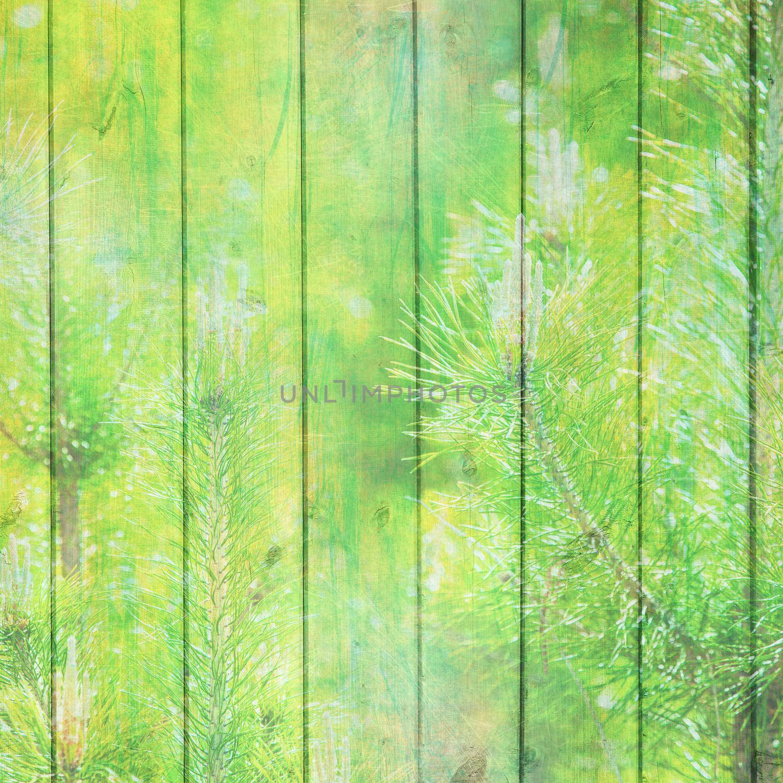 Vintage wood background with pine tree silhouettes by kisika