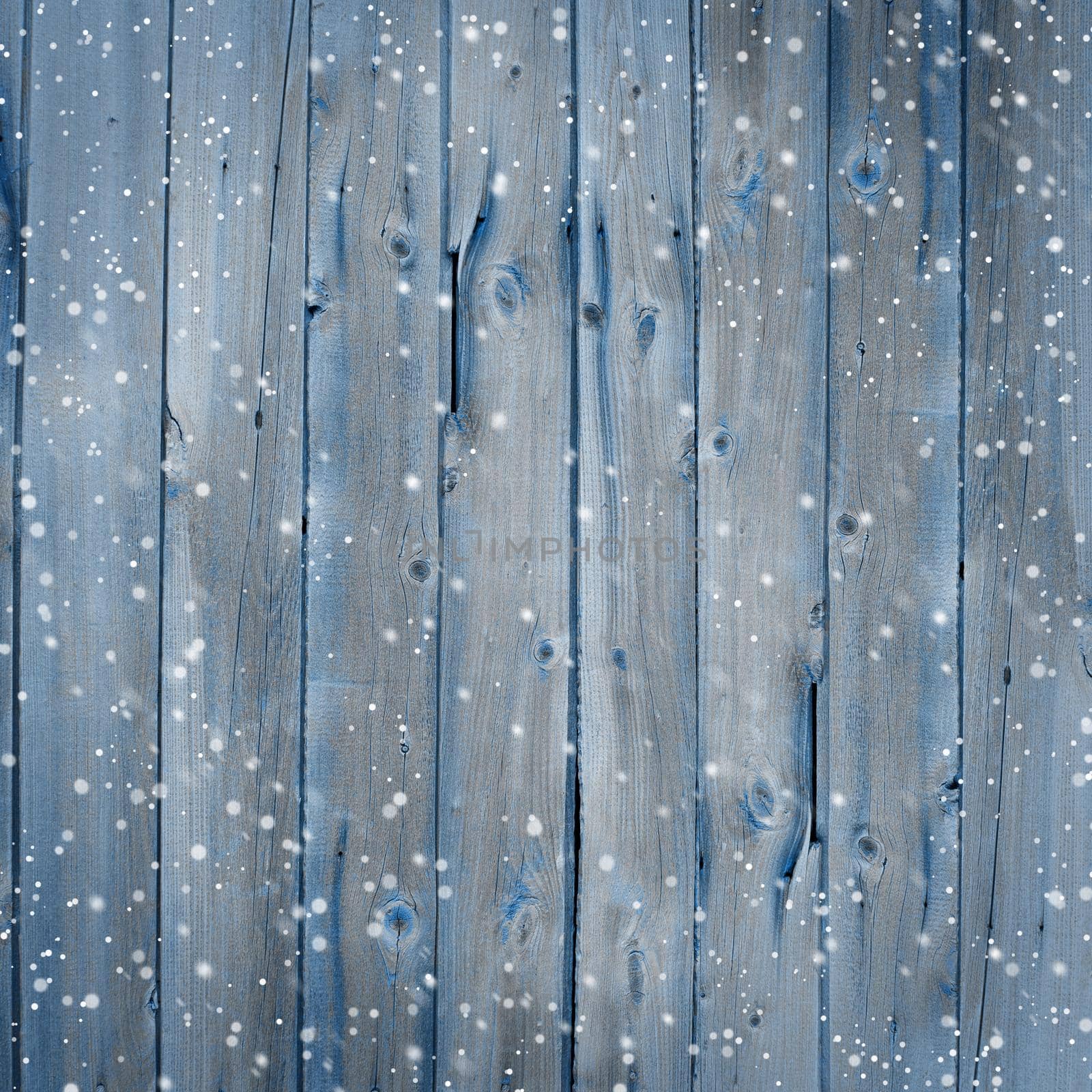 Winter wood background with snowflakes by kisika