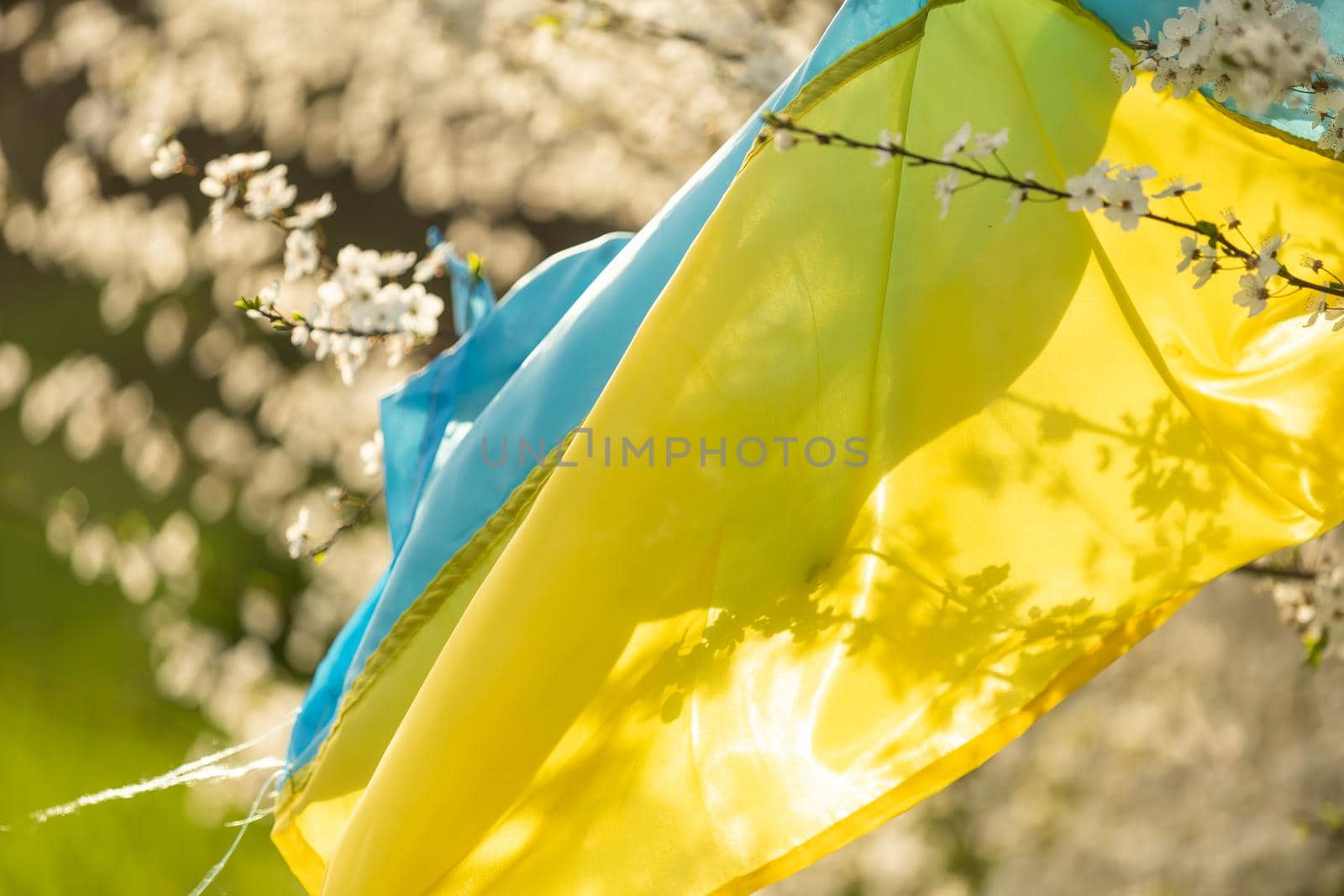 ukraine flag yellow and blue in a flower garden.