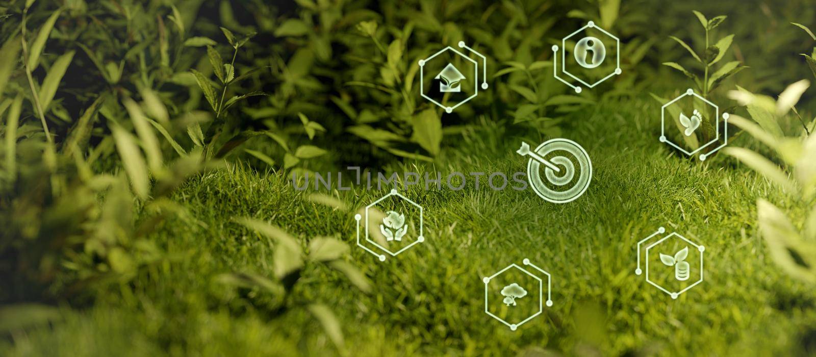 Sources for renewable, sustainable development. Environment,ecology and energy saving concept.Energy resources icons 3D Illustration