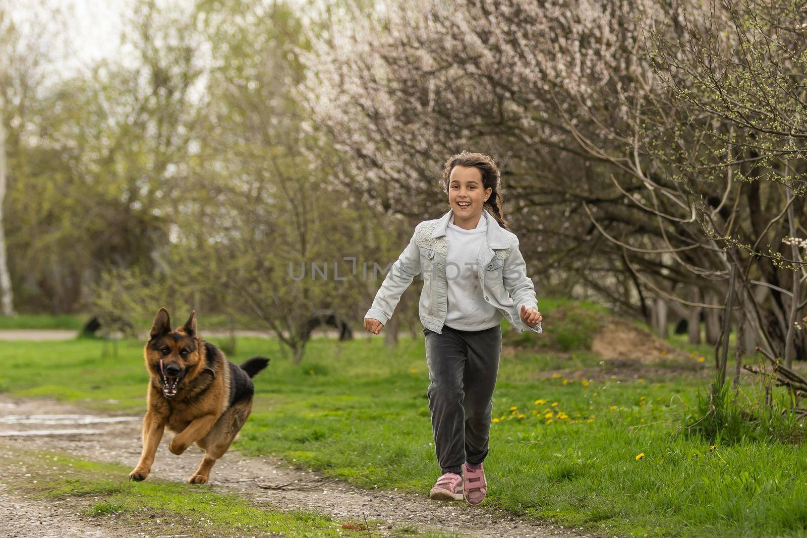 little girl running with a dog in a flower garden by Andelov13