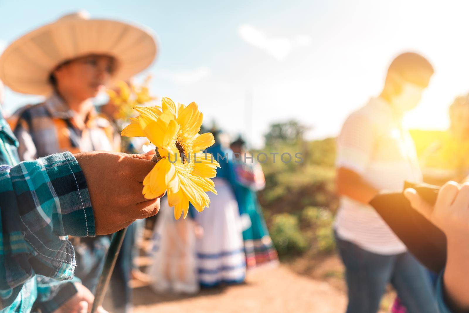 Close Up on the hand of a Latino teenager from Nicaragua holding a sunflower during a display of Latin American culture by cfalvarez