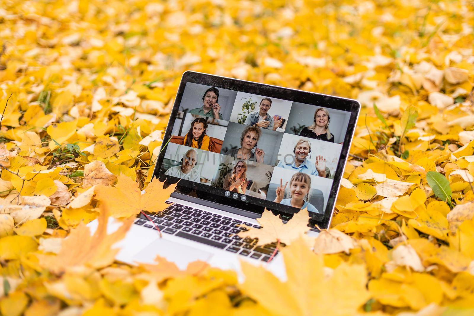 laptop with videoconference stands in the autumn park.