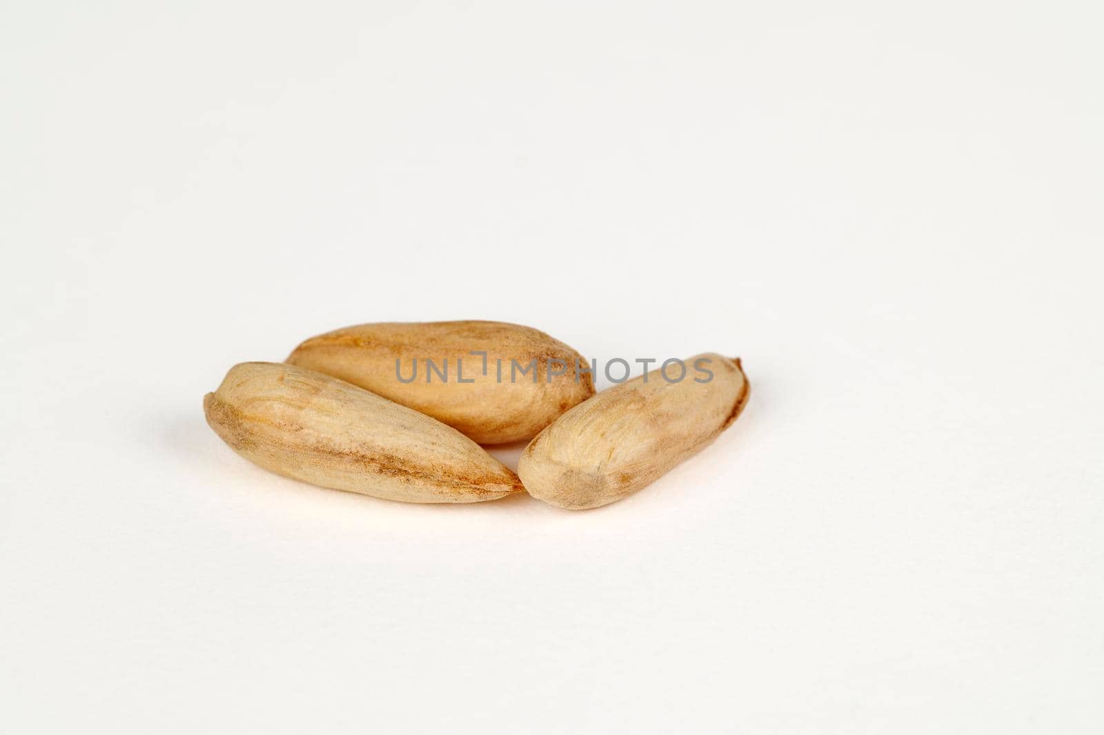 Closeup view of three wild papershell almonds 'kaymak' on a white background