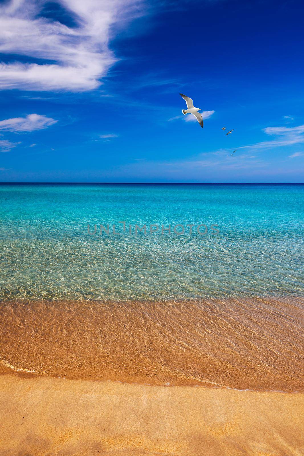 Yellow warm sand and summer sea with sky and free space. Sea, Sand, Sky and summer day. Beach and sea on a summer day, travel concept, vacation and relaxation. Summer sand beach and sea background.