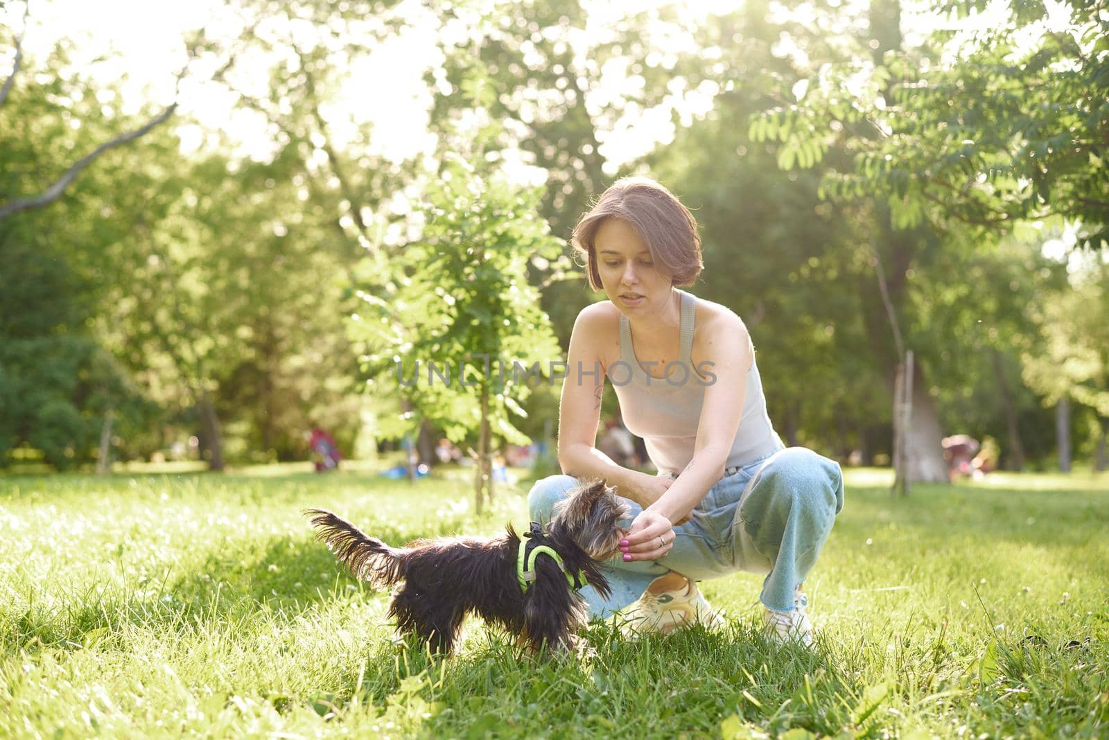 Woman owner with yorkshire terrier dog having fun on the grass. Puppy dog pet running with women for friends jog exercise, funny on the outdoor park, track and workout.