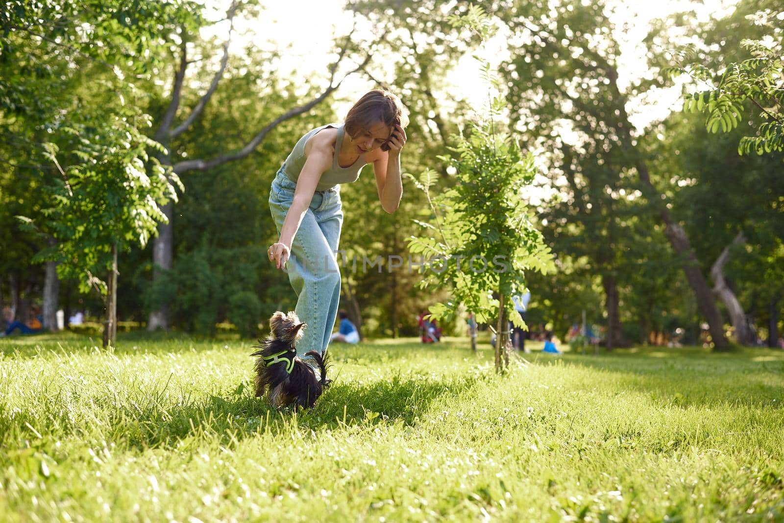 Woman training her dog at the park. A young girl runs and plays in a green park with her Yorkshire terrier.