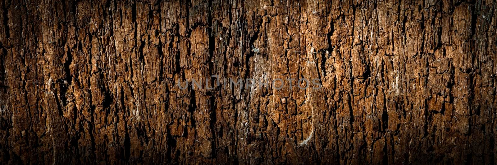 Texture of old wood with cracks. Old, cracked wood background, high resolution