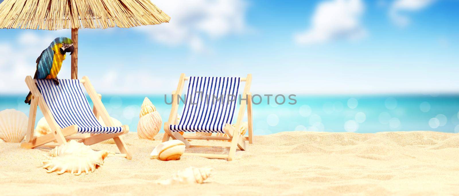 Wooden deck chairs with parrot on sandy beach near sea. Holiday background.