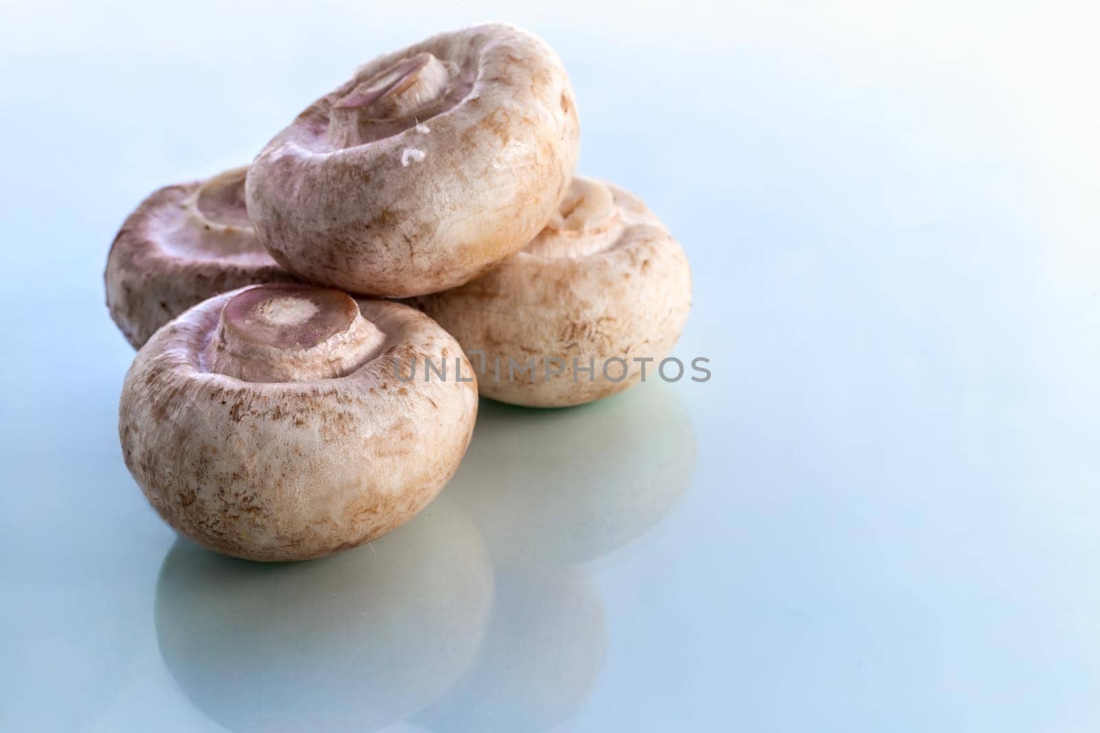 A few fresh raw mushrooms on a light background. Front view, close-up, copy space