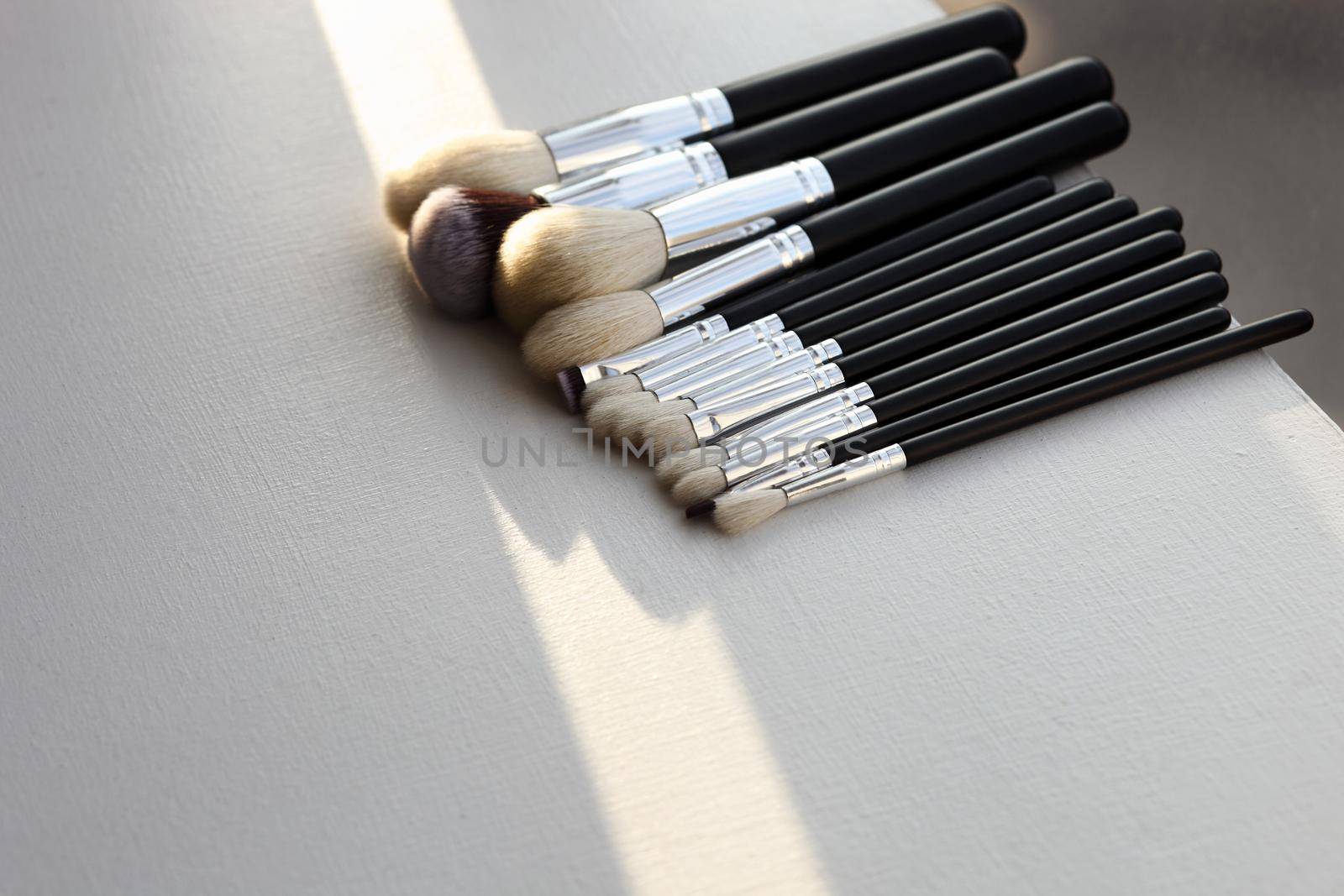 Professional makeup brush set