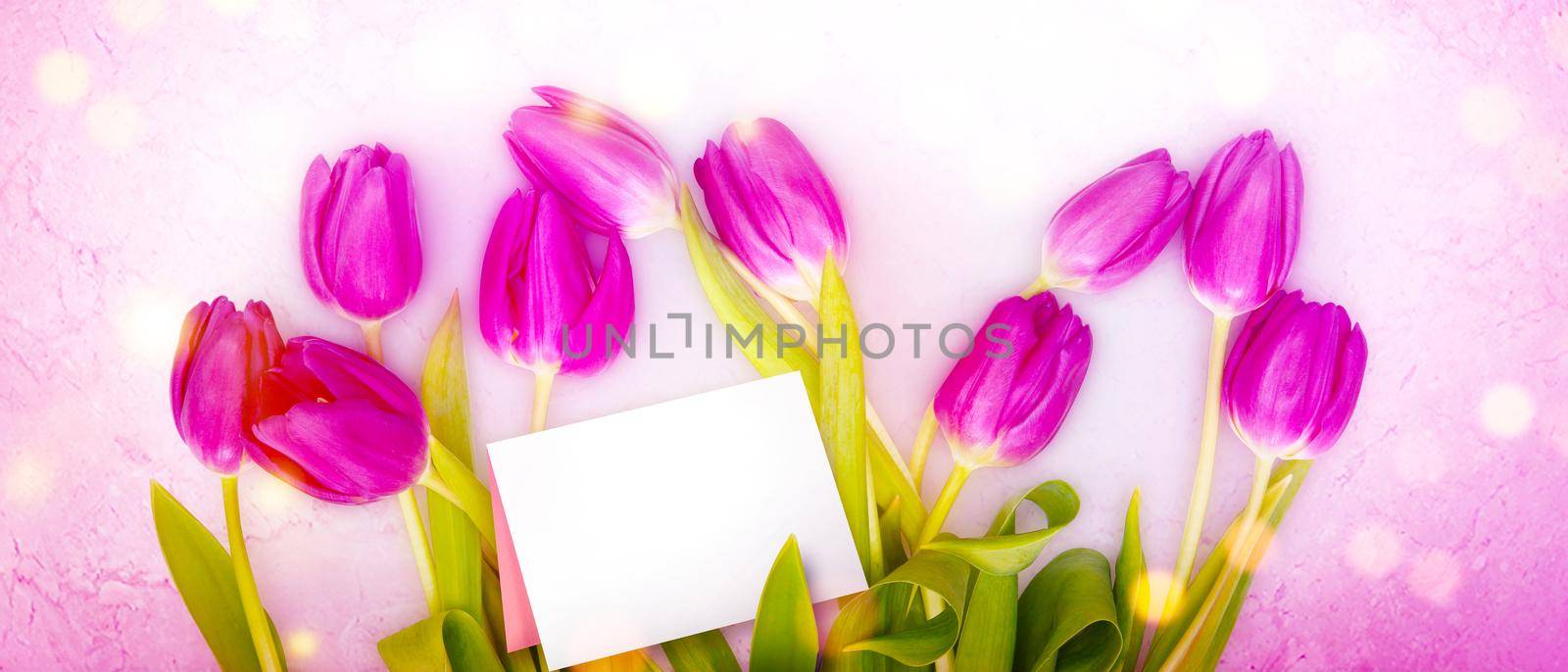 Spring concept of the celebration. Greeting card for women's Day