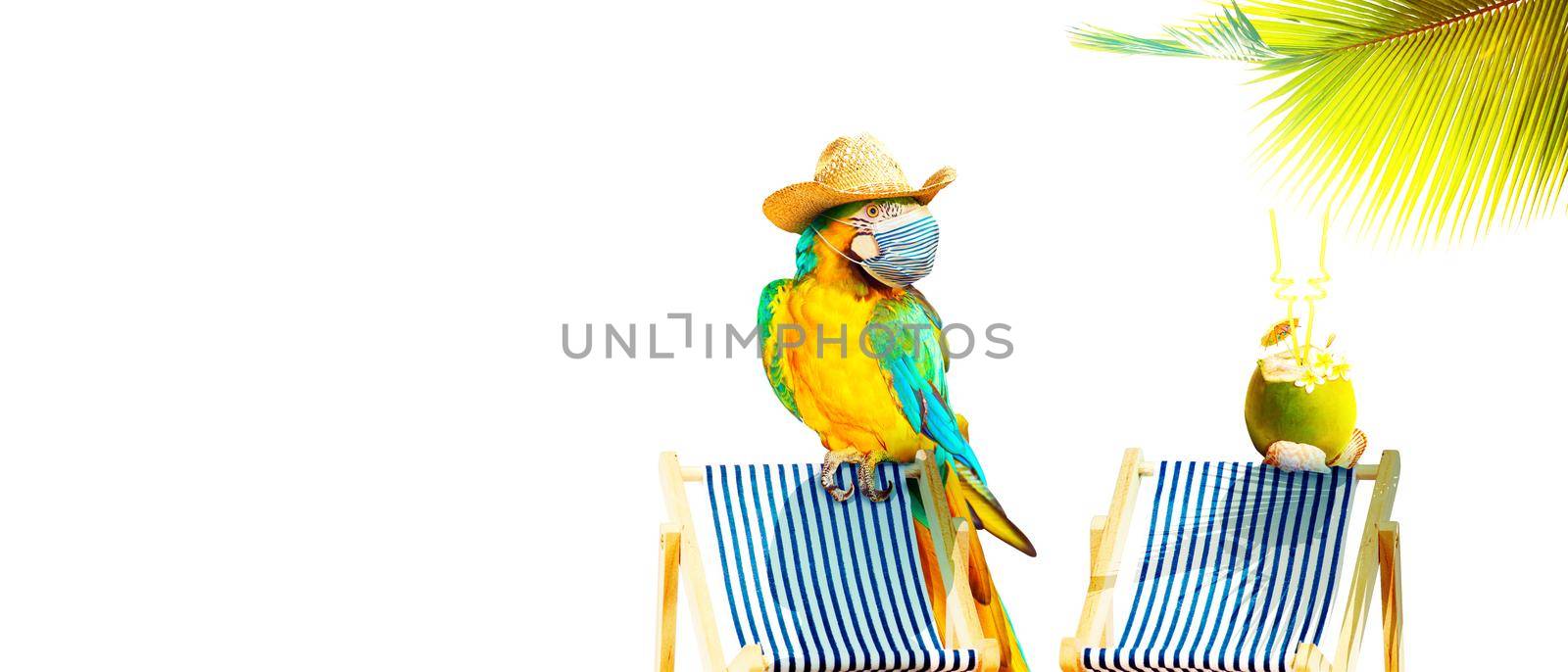 Macaw parrot with medical mask on vacation by Taut