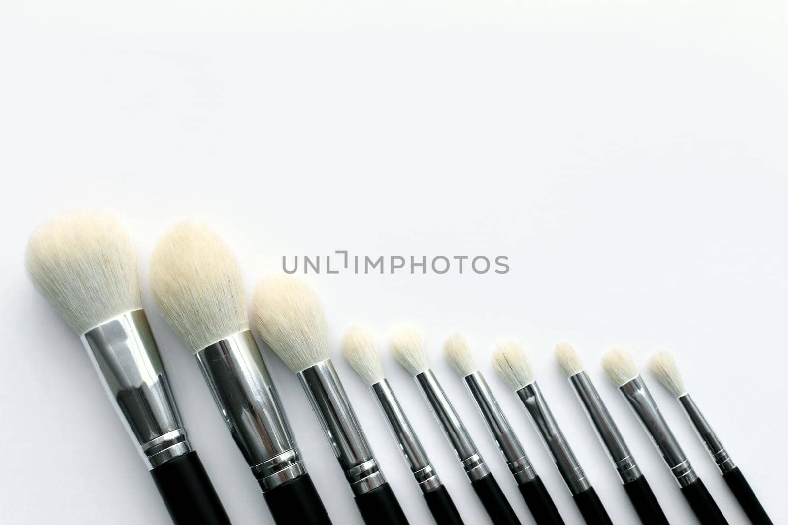 Professional makeup brush set