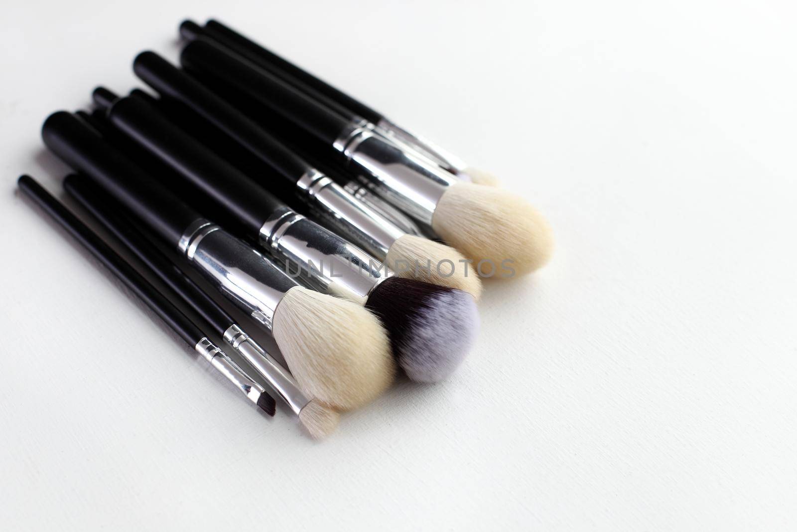 Professional makeup brush set