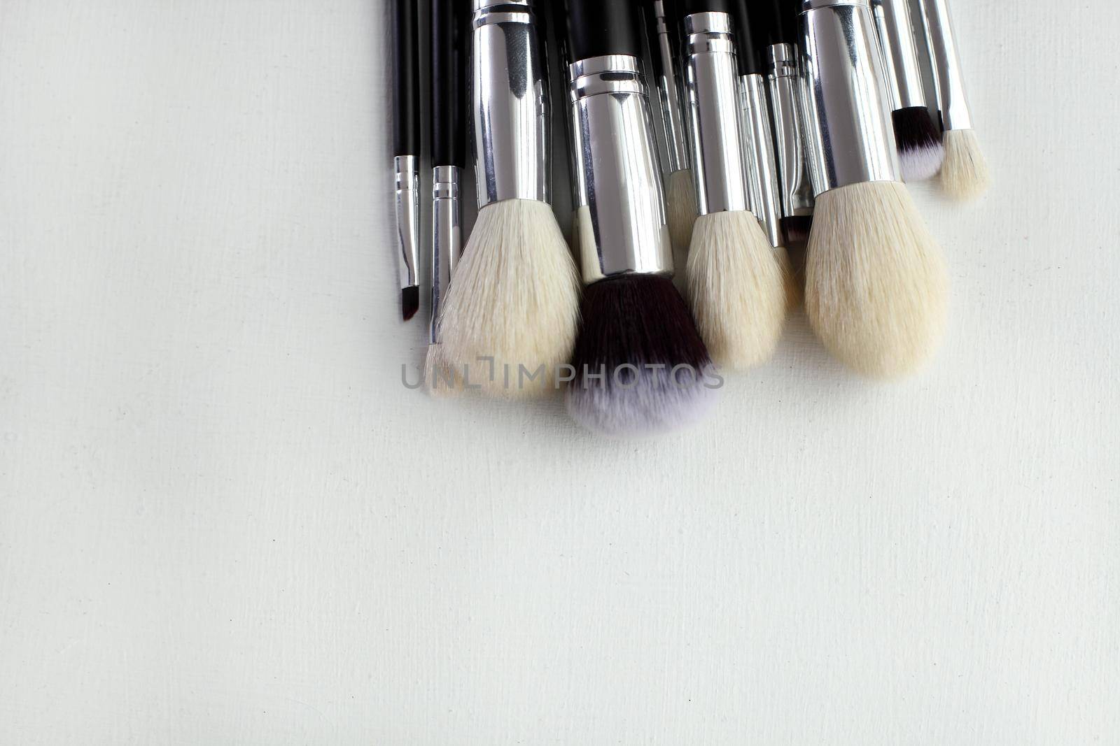 Professional makeup brush set