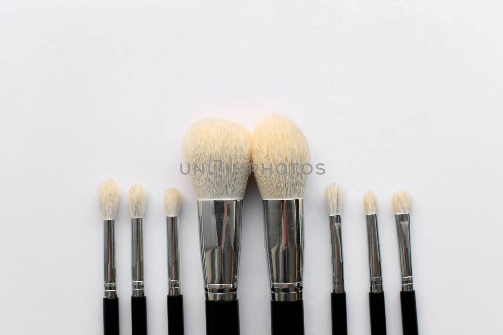 Professional makeup brush set