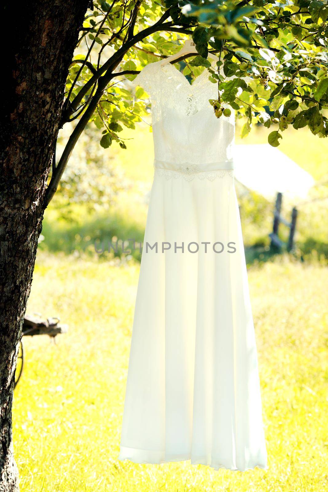 Bride dressing wedding gown