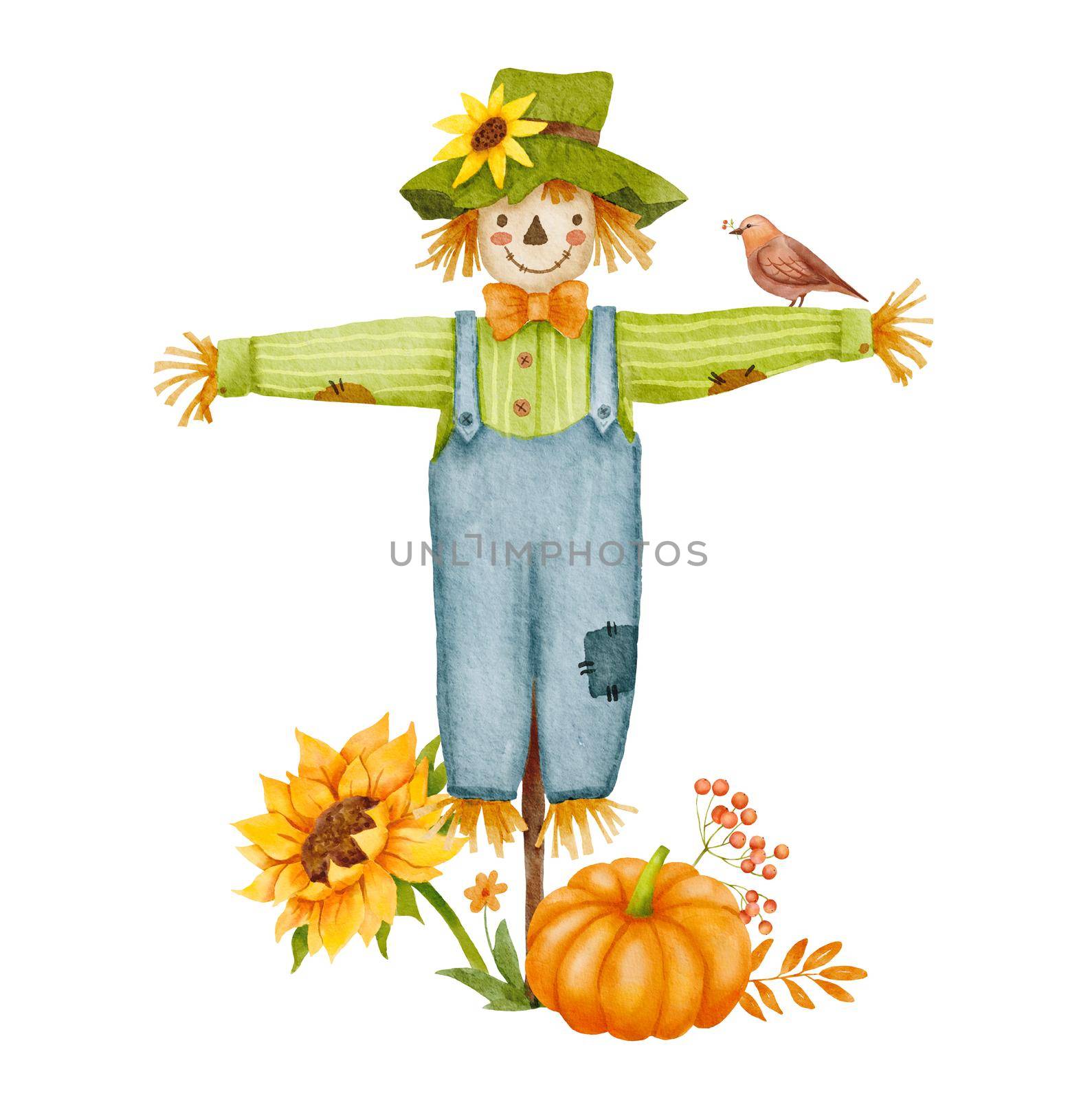 Watercolor scarecrow character with bird, sunflower and pumpkin isolated on white background. Autumn decor. Fall composition by ElenaPlatova