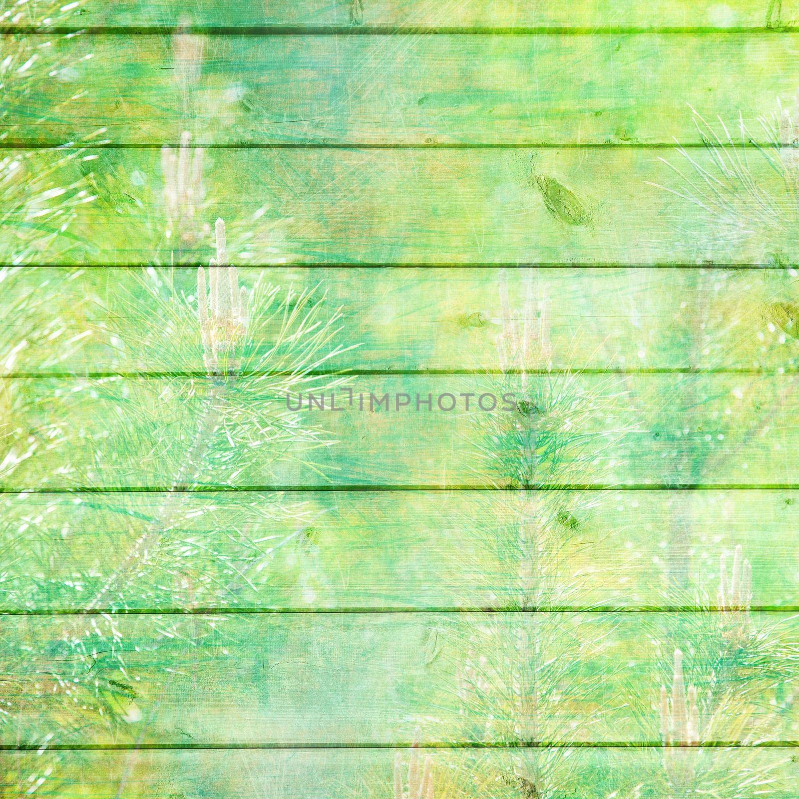 Rustic spring scratched old plank texture in green color