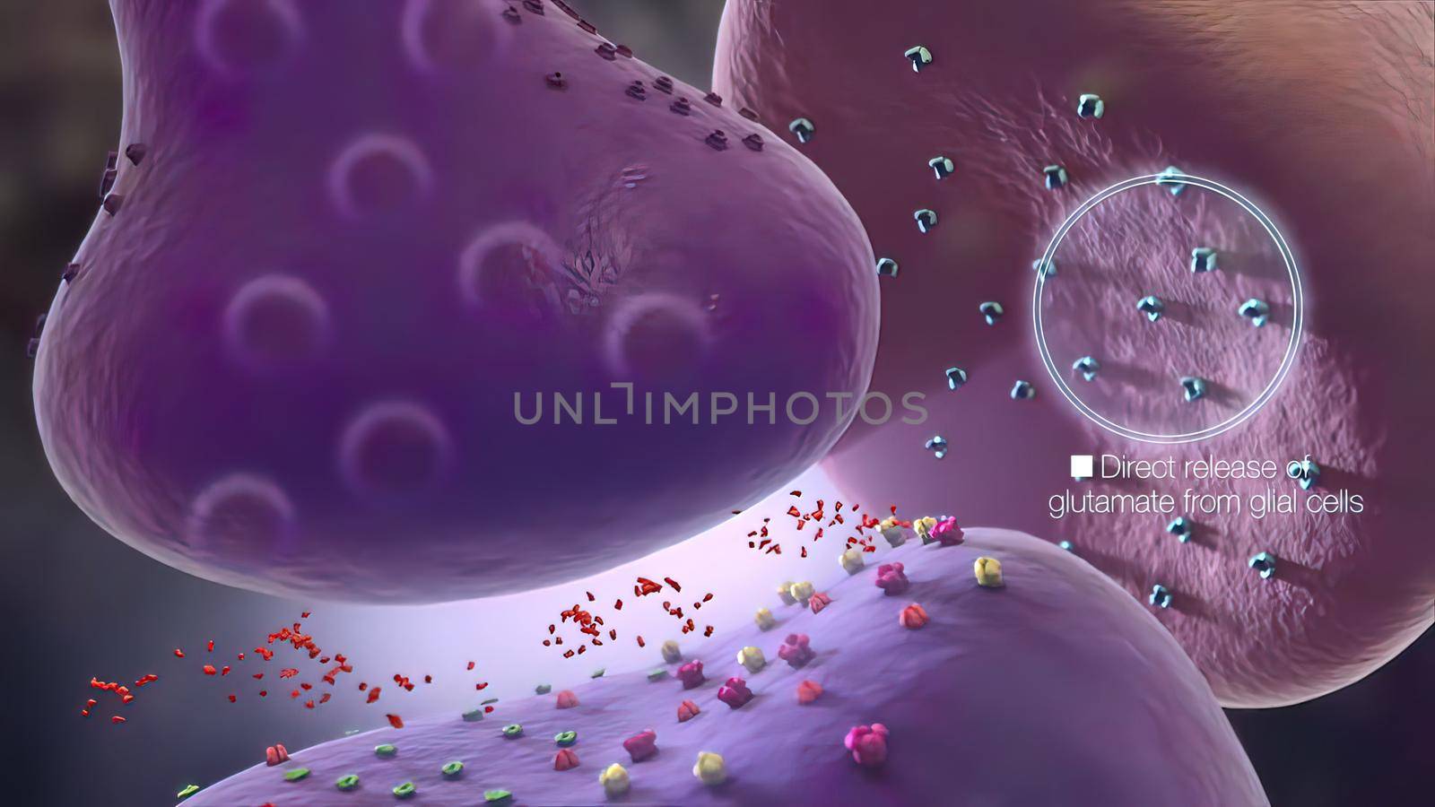 Glial cells of the nervous system release transmitters to release neuronal and synaptic activities.. 3D illustration