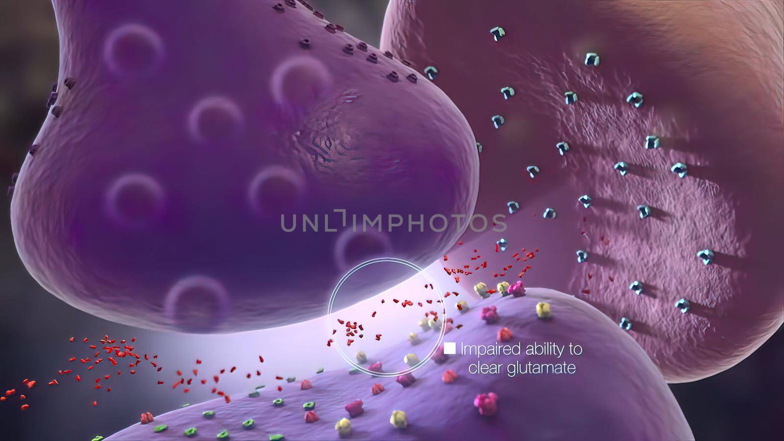 Glial cells of the nervous system release transmitters to release neuronal and synaptic activities.. 3D illustration