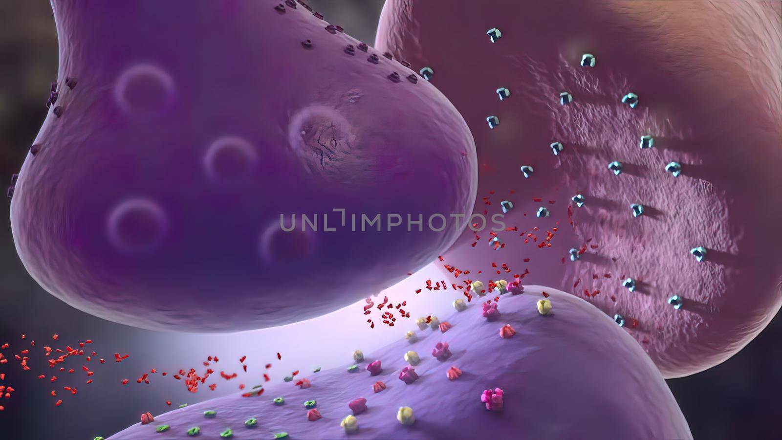 Glial cells of the nervous system release transmitters to release neuronal and synaptic activities. by creativepic