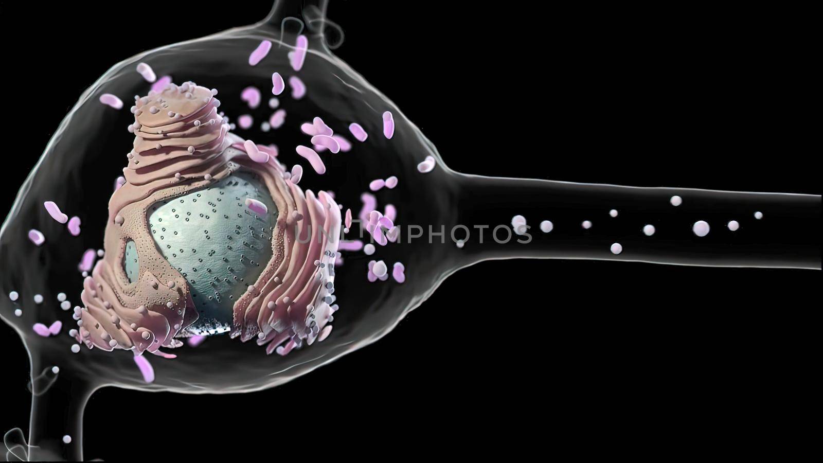 Data exchange of neurons , a specialized cell transmitting nerve impulses; a ner by creativepic