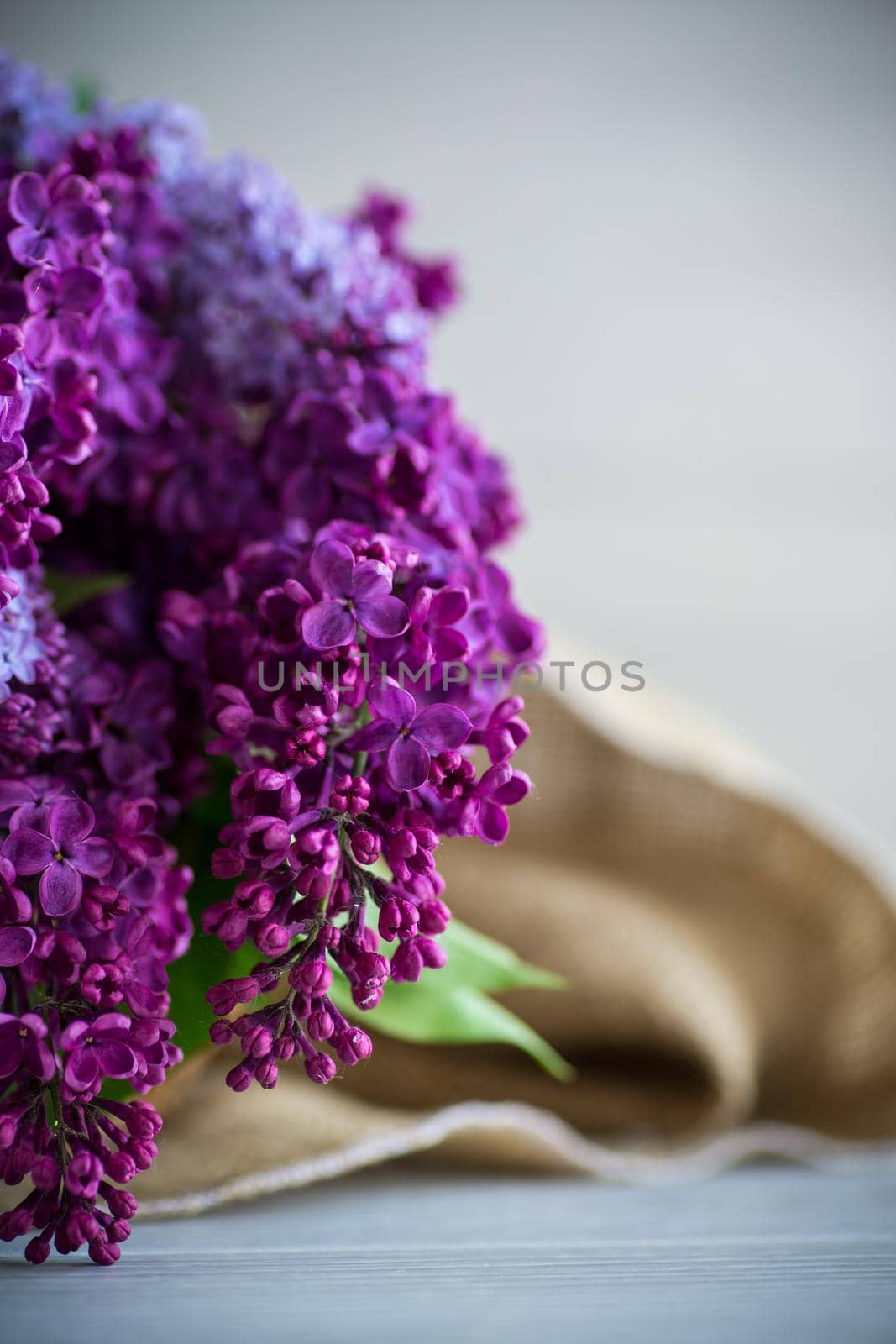 Bouquet of beautiful spring lilacs in dark purple color on a wooden table