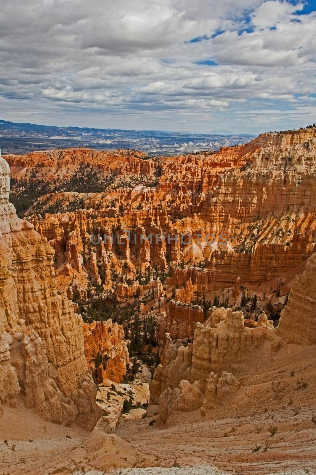 View over Bryce Canyon National Park Utah from the Rim Trail,