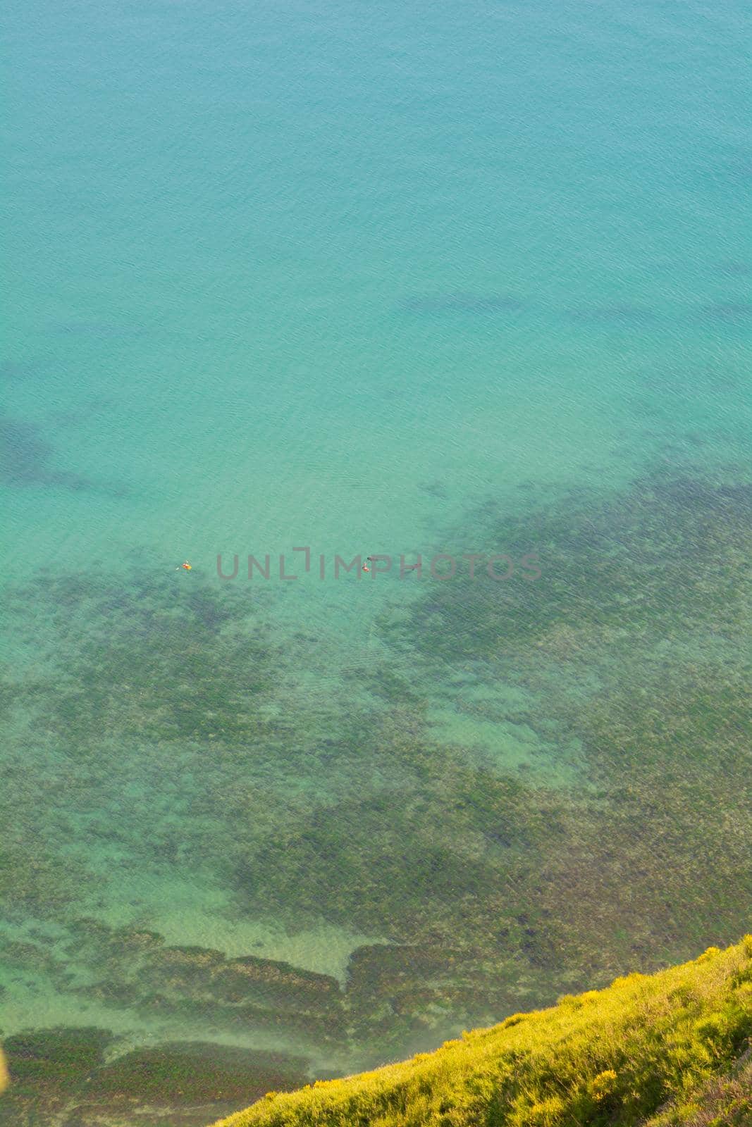 San Bartolo regional park Marche region - broom trees and transparent green sea water.