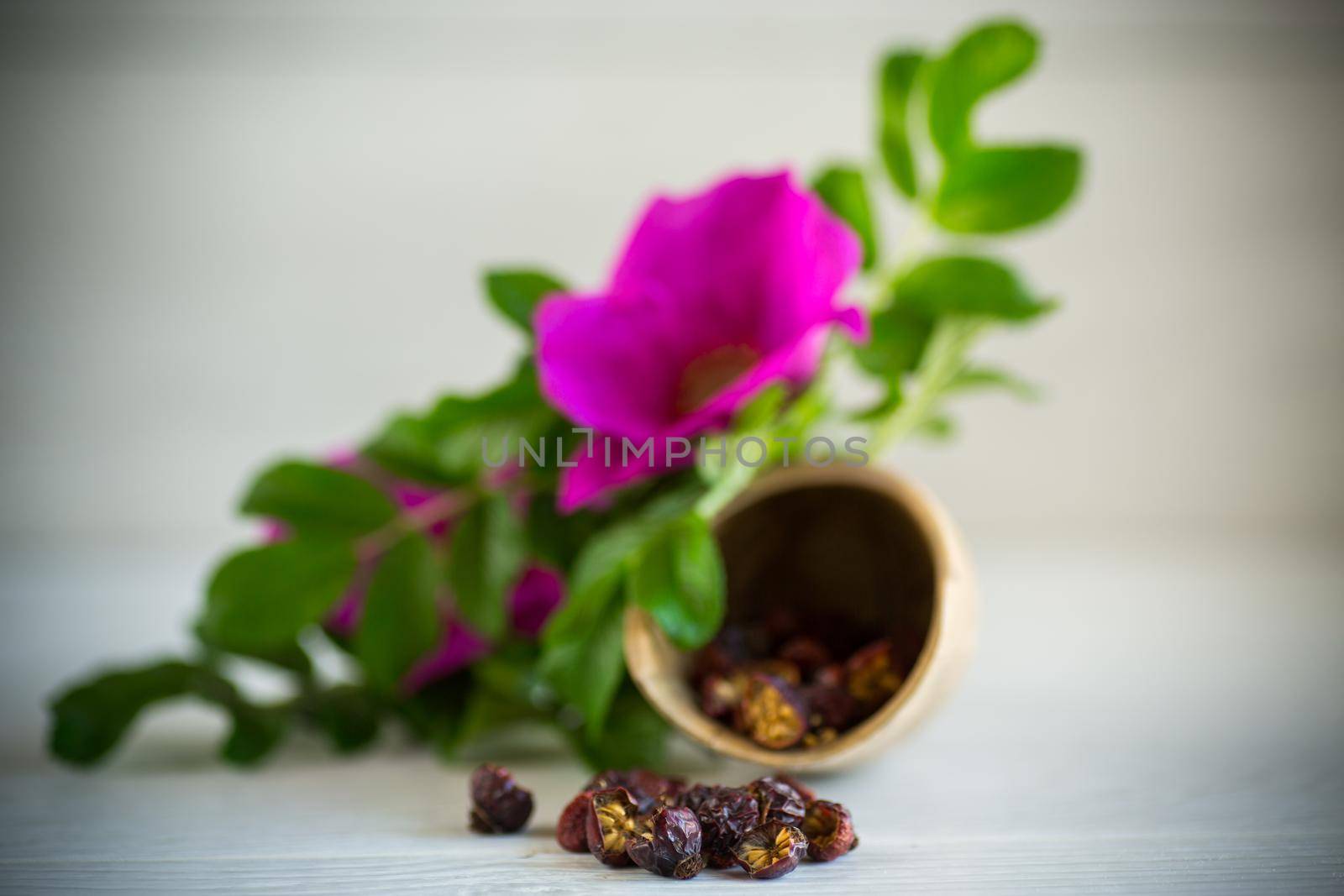 dried rose hips on a light wooden background