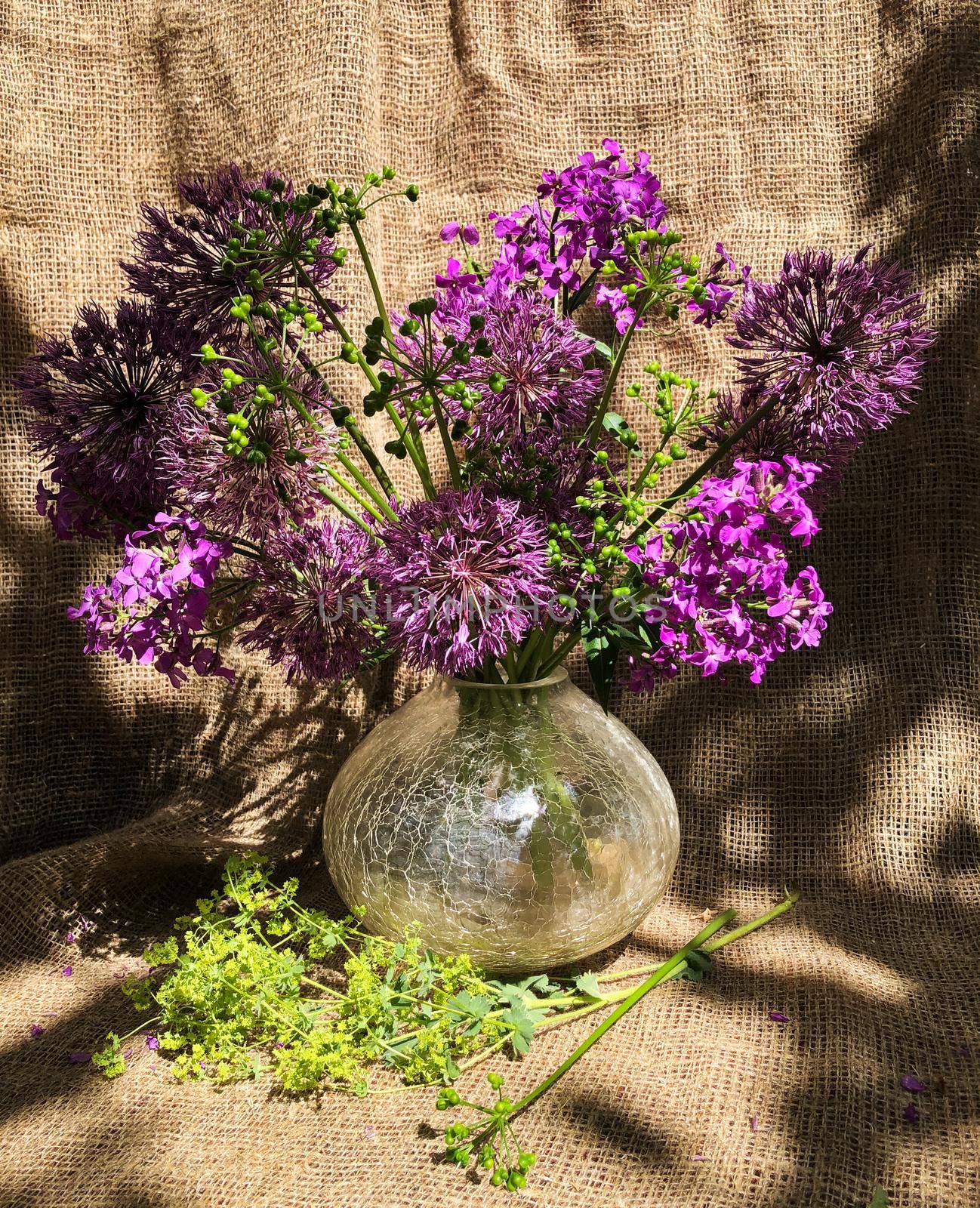 Romantic bouquets of flowers. Home decor and flowers arranging. Bouquet of aliums in the rays of sunlight