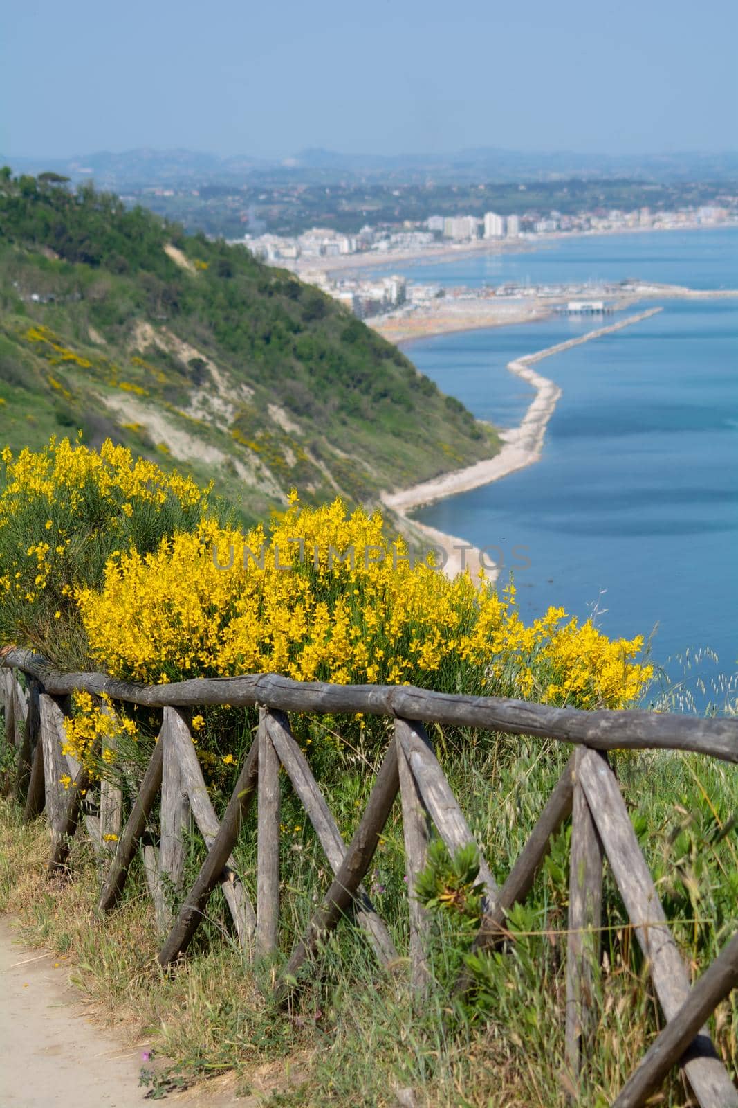 San Bartolo regional park Marche region - broom trees and transparent green sea water.