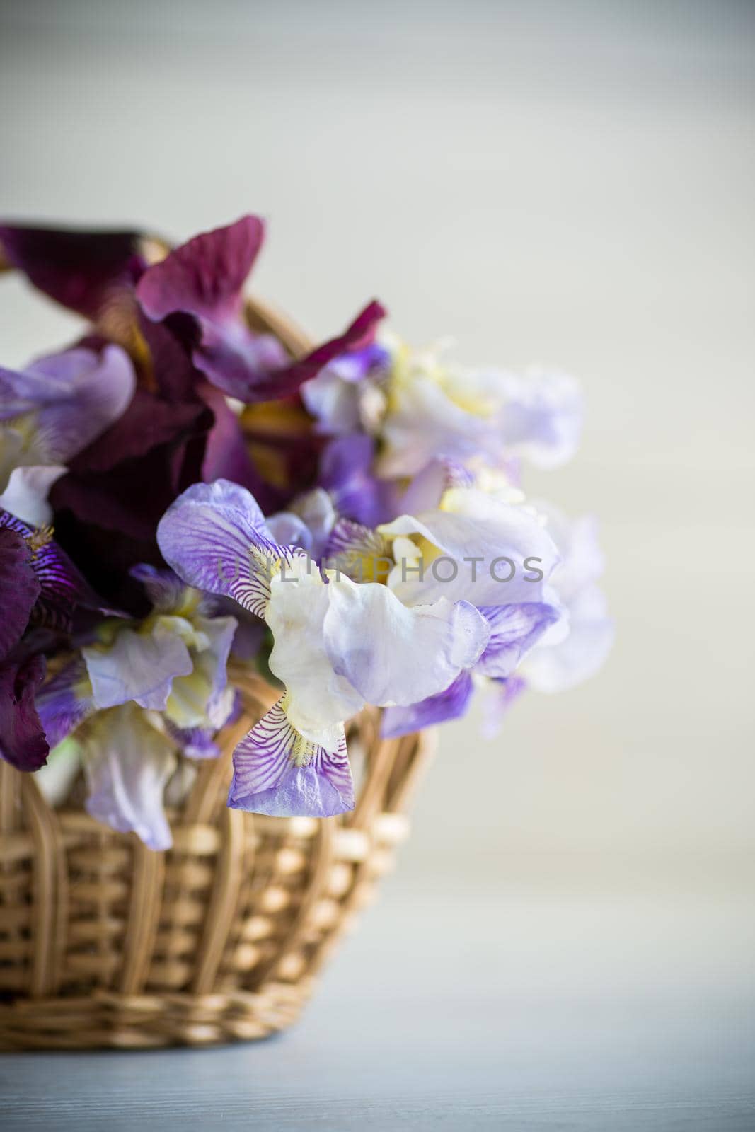 bouquet of beautiful blooming iris flowers on wooden background by Rawlik