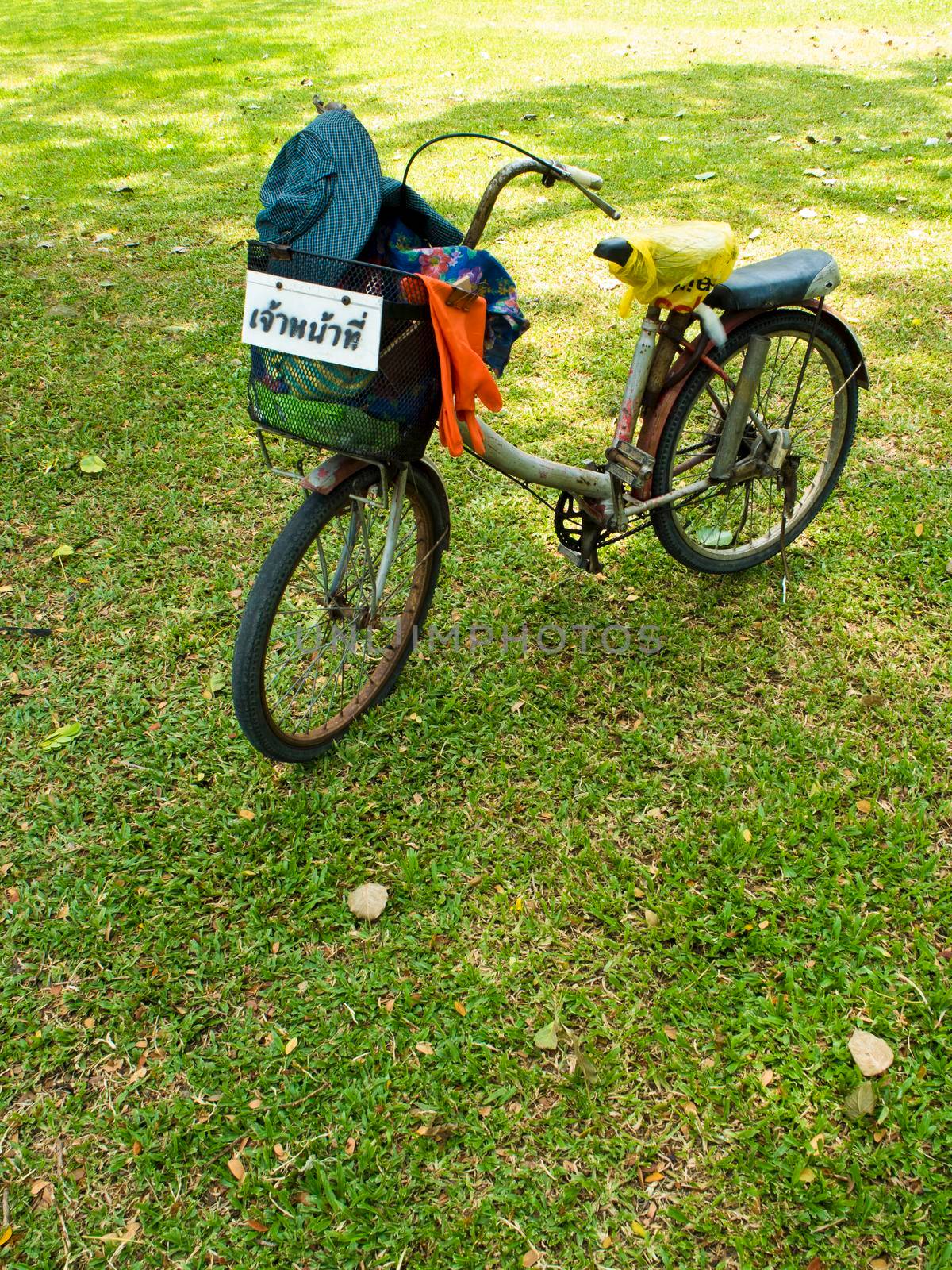 Old bicycle on greensward