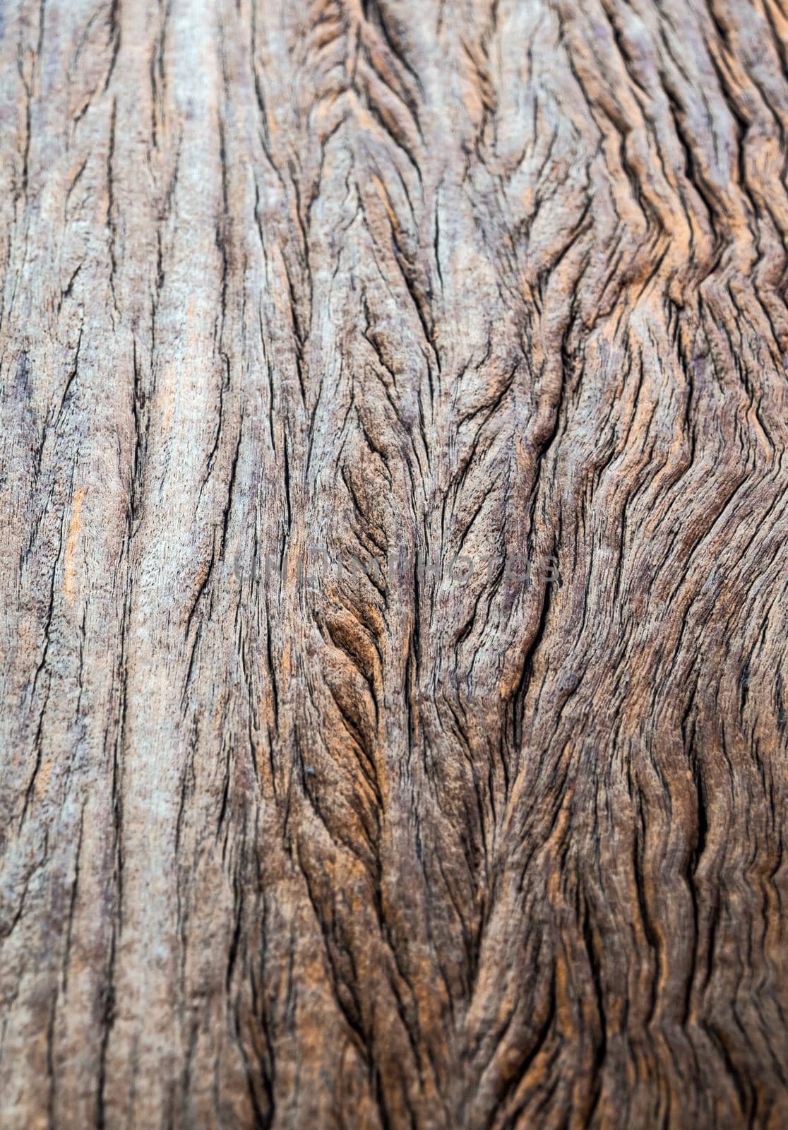 Abstract texture on surface of old wooden board by Satakorn