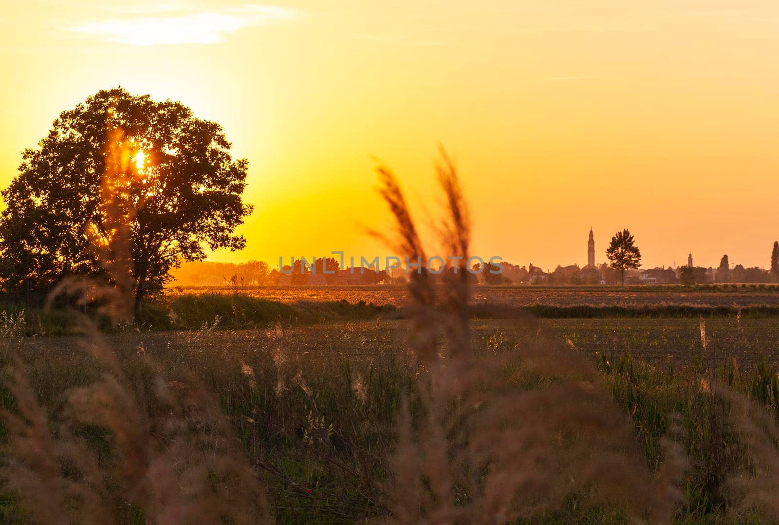 Golden sunset countryside panorama by pippocarlot