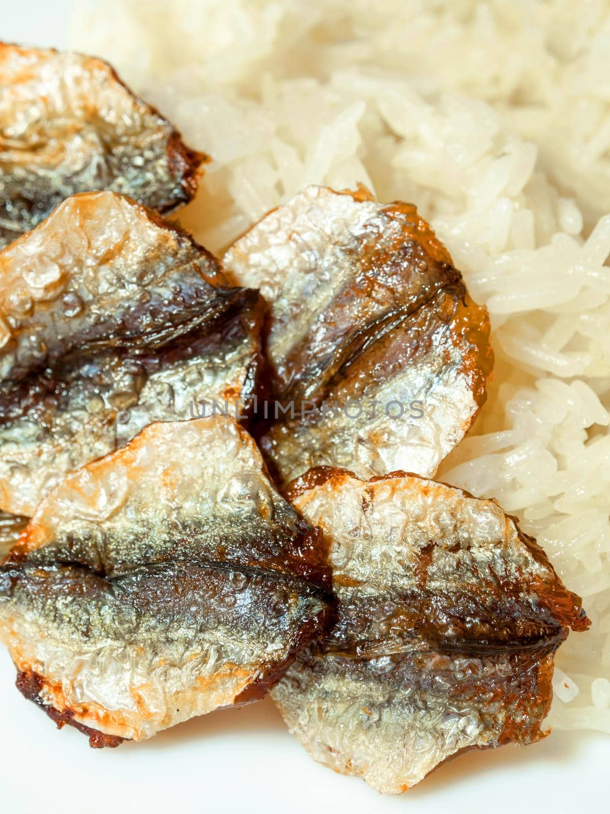 Close up food, Sticky rice and fried sun-dried fish, take home street food