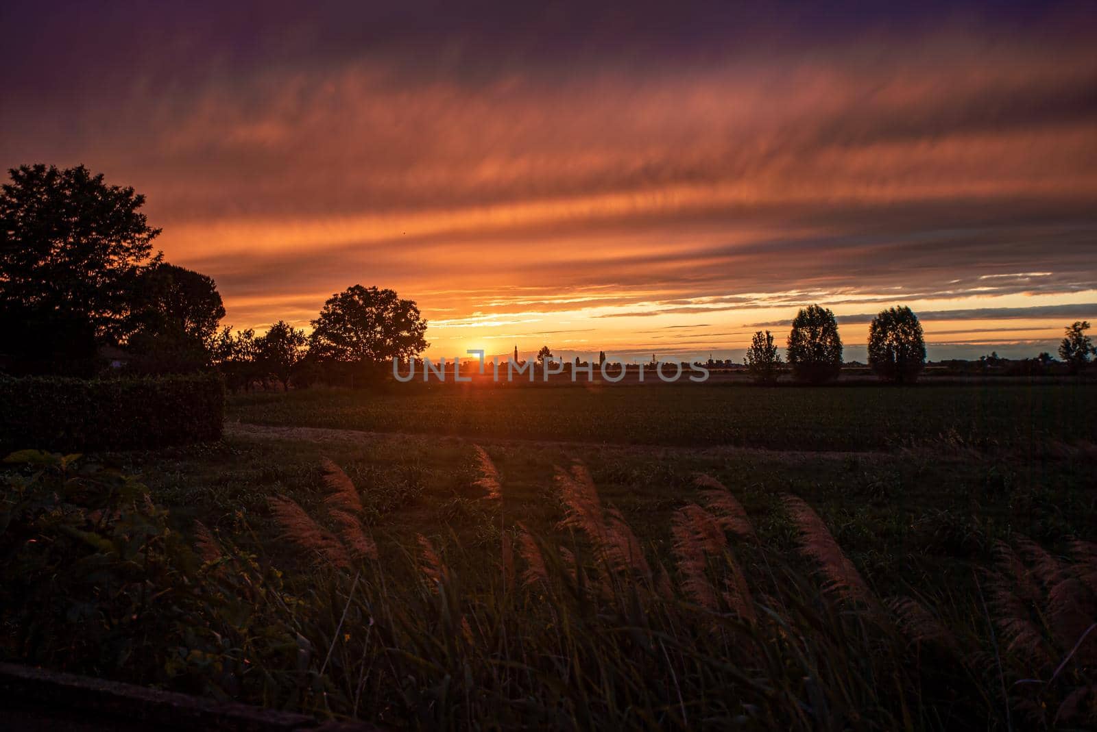 Golden sunset countryside panorama in a summer day in Italy