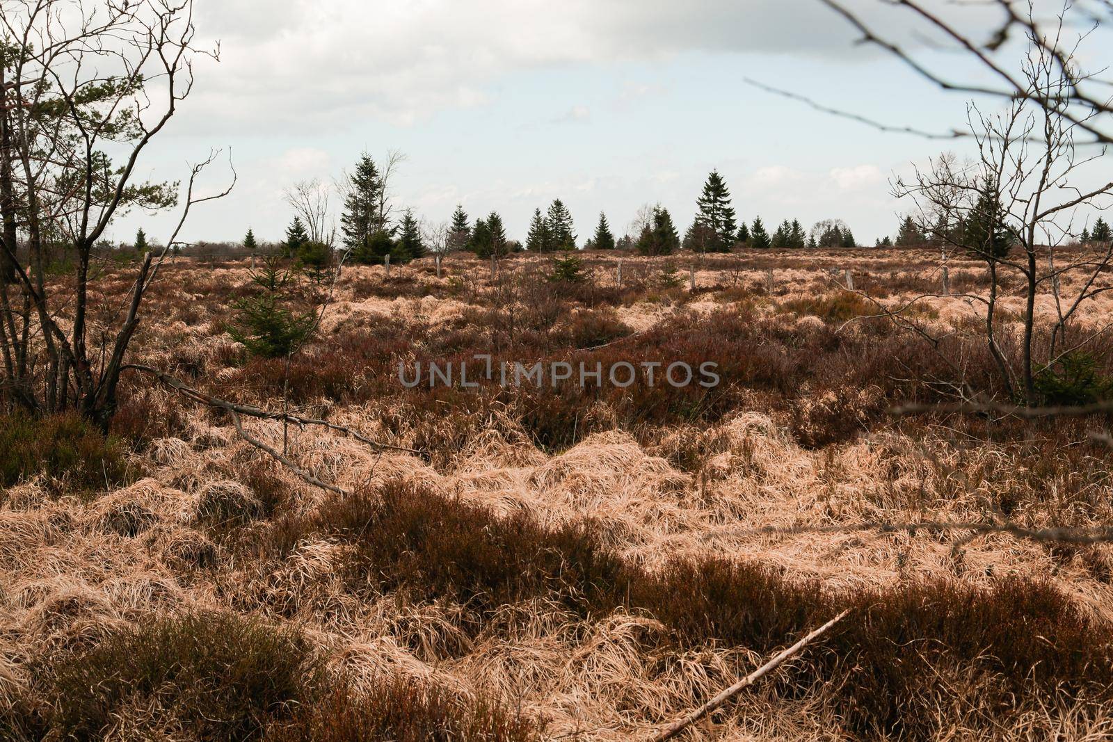 The High Fens by Kartouchken